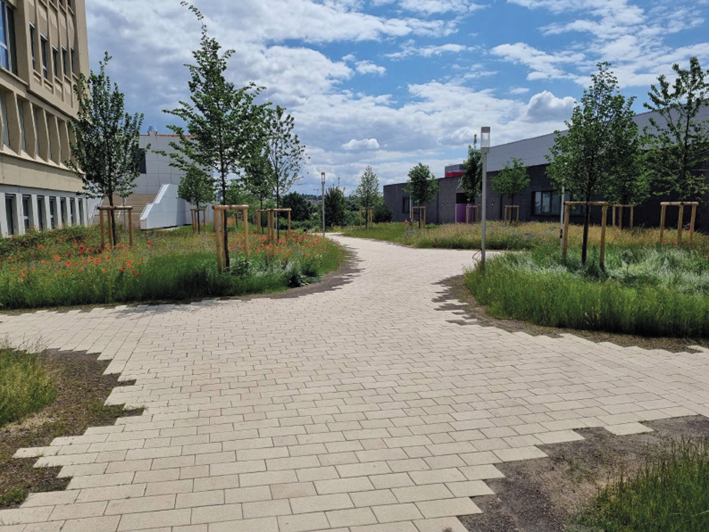 4	Lycée Michel Rodange à Luxembourg Hollerich